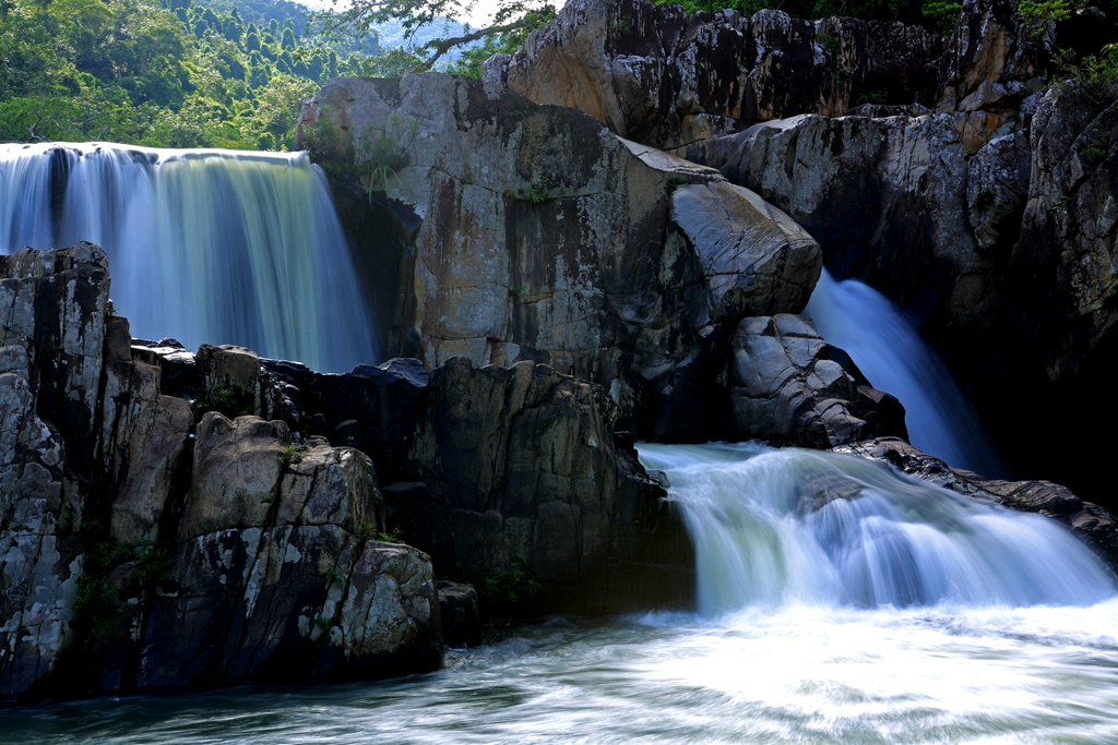 何必去南美，呀诺达热带雨林就有无数宝藏