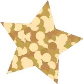 十大网红酒店产品,国际五星酒店和国内五星酒店