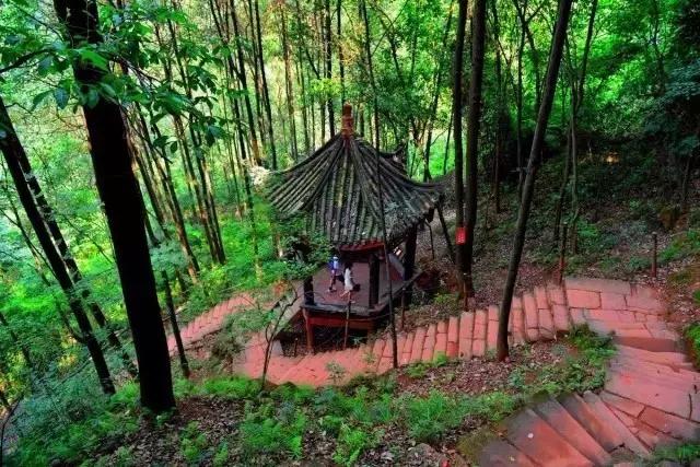 带你体验不一样的异国风情柬埔寨,去柬埔寨探寻神秘而又独特的美