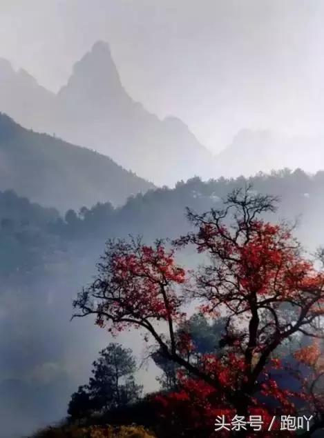 神秘北纬30度在皖南,皖南川藏线北纬30度