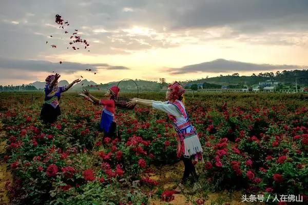 佛山西站出发动车直达!九月的普者黑,美成一幅脱俗的3D田园画~
