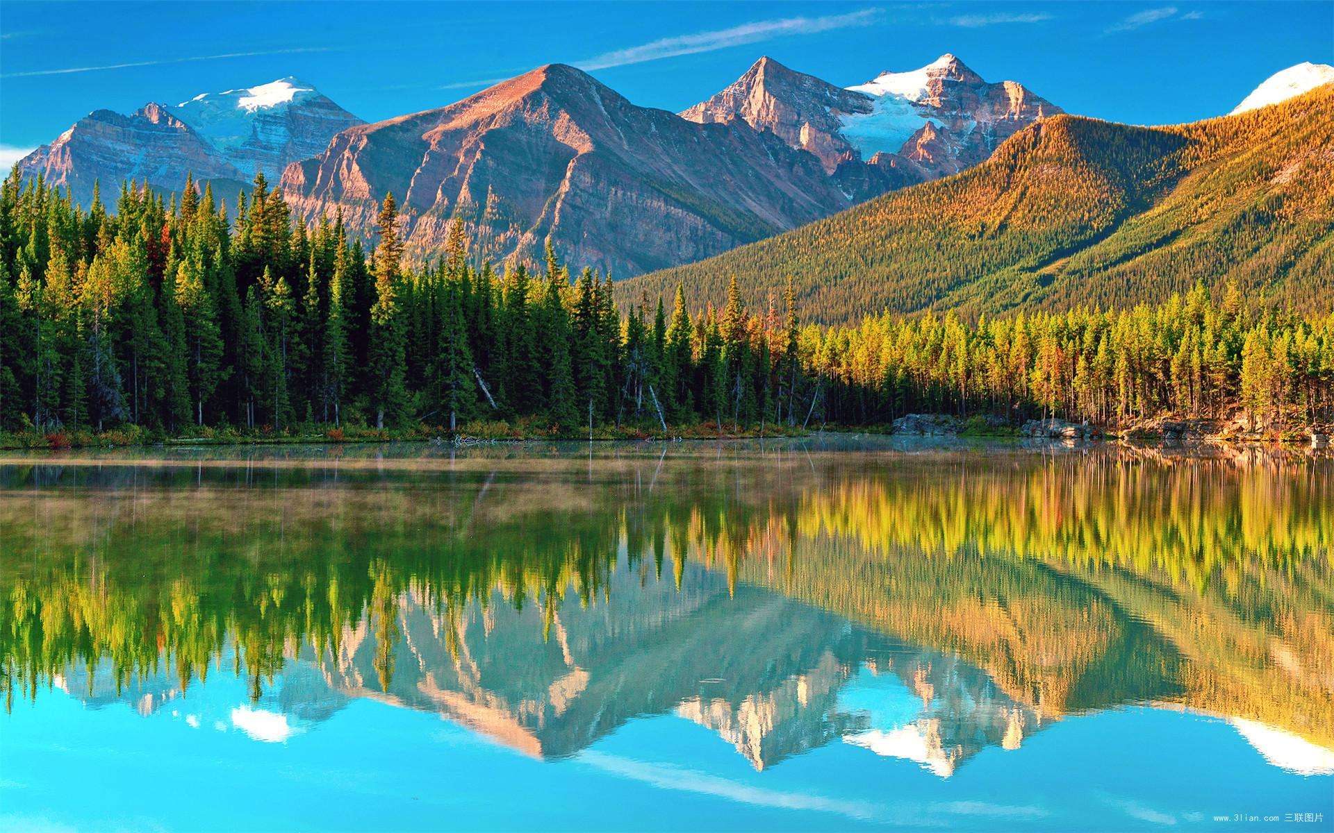 美文美句美景欣赏,美文欣赏绝世好文