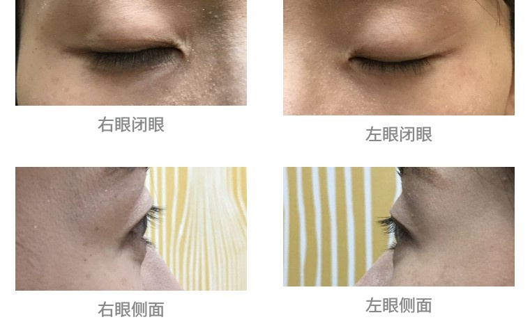 完美日记睫毛膏排行榜评测,丽兰妃睫毛膏评测