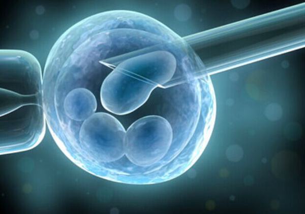 人工授精真的成功率很低吗,你真的了解人工智能吗翻译