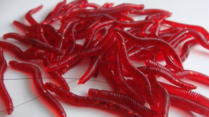 钓鱼用的红虫对鱼塘有危害吗,手上有伤用红虫钓鱼有危害吗