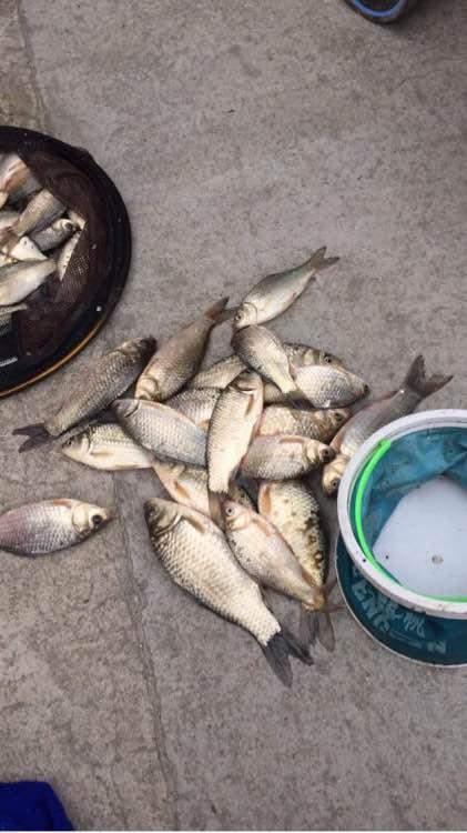 上班绑鱼钩，午休去钓鱼，因为工作耽搁了钓鱼，太不值！