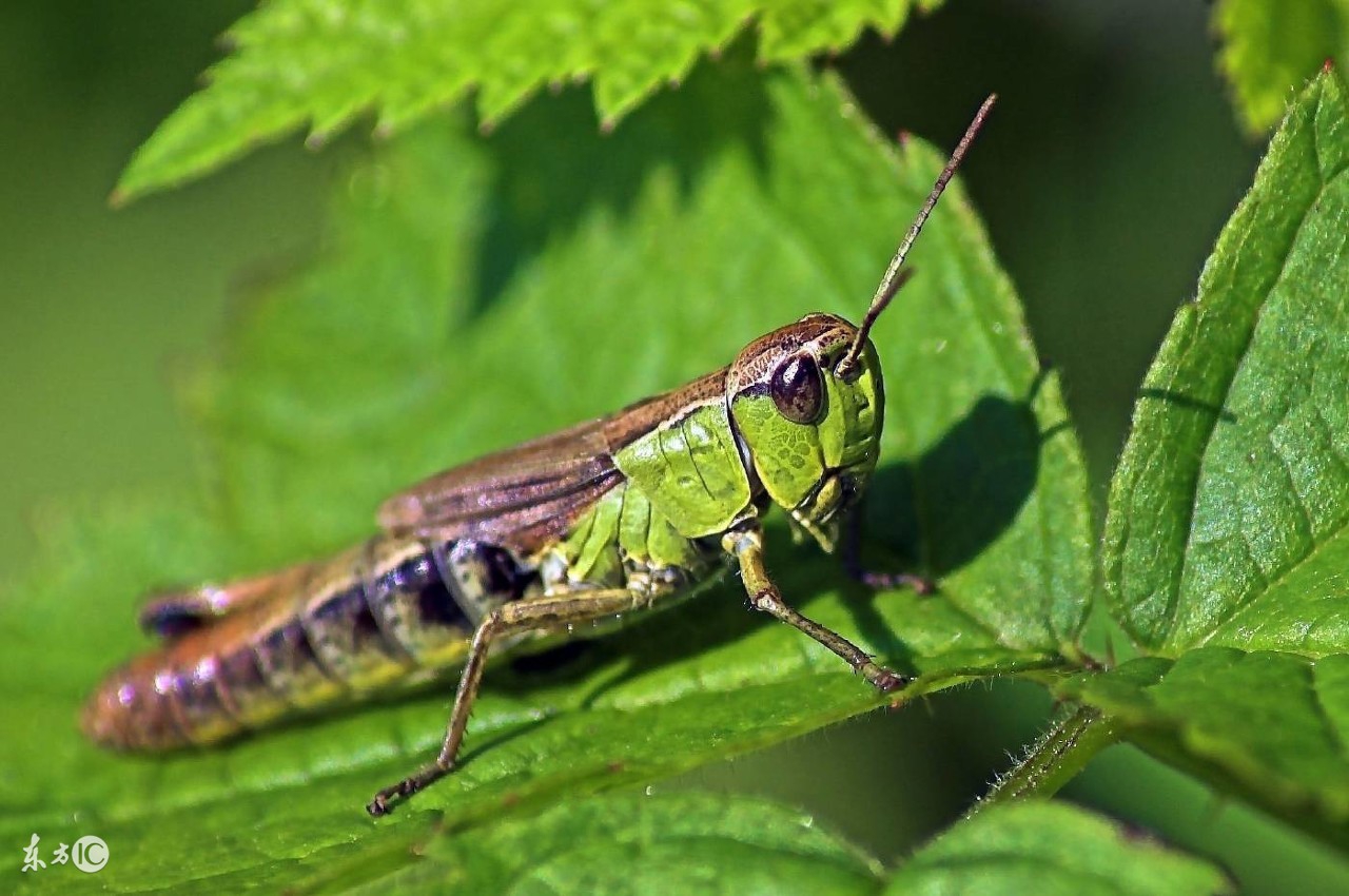 超有趣的冷知识你都不知道,超有趣的冷知识你绝对不知道