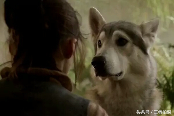 五分钟看懂权力的游戏第七季,权力的游戏第七季第七集百度云