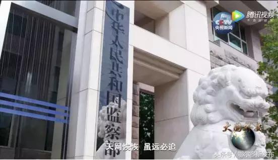 大国外交百年风雨兼程,大国外交之美美与共观后感