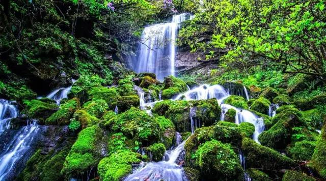 带你体验不一样的异国风情柬埔寨,去柬埔寨探寻神秘而又独特的美