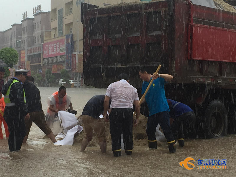 东莞海滩必备泳衣,东莞海边最新消息