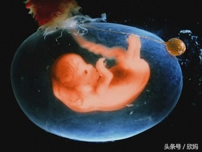 妈妈知道宝宝在肚子里,胎宝宝在肚子里的发育