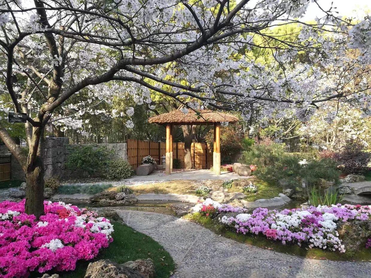 上海金山十大旅游景点,上海松江十大旅游景点