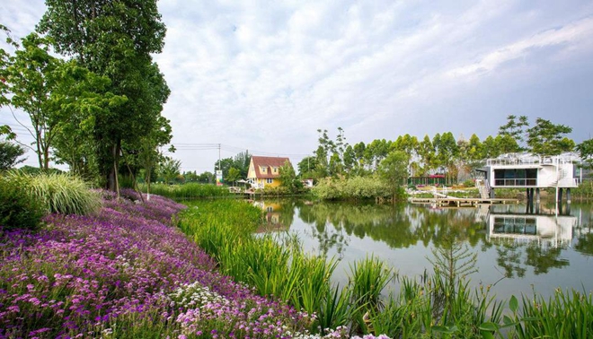 成都获得的世界级荣誉,成都被评为世界宜居城市