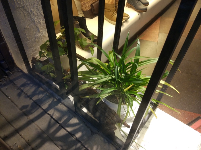 五轴光学防抖手机,防抖手机拍照测评