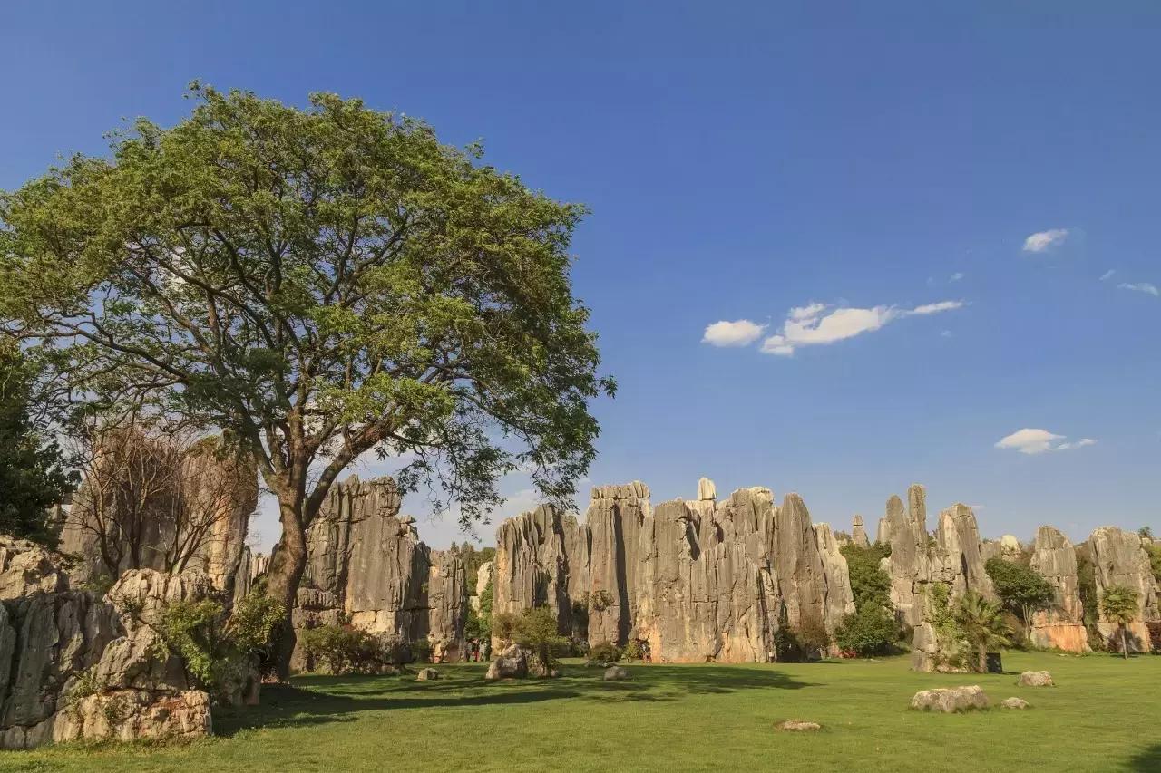9月机票白菜价！洛阳出发飞遍半个中国，比坐高铁还便宜！
