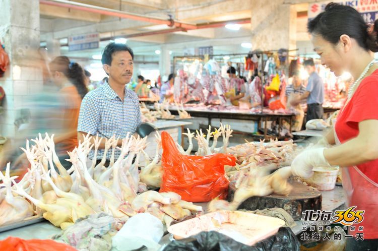 陈荣华北海,北海人的一天