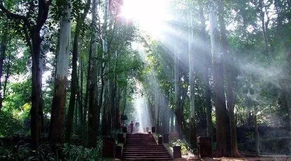 带你体验不一样的异国风情柬埔寨,去柬埔寨探寻神秘而又独特的美