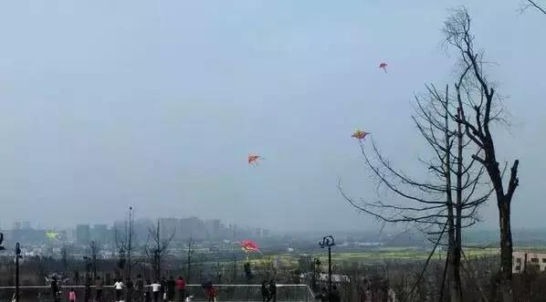 成都赏红叶的公园,成都赏秋色最好的地方