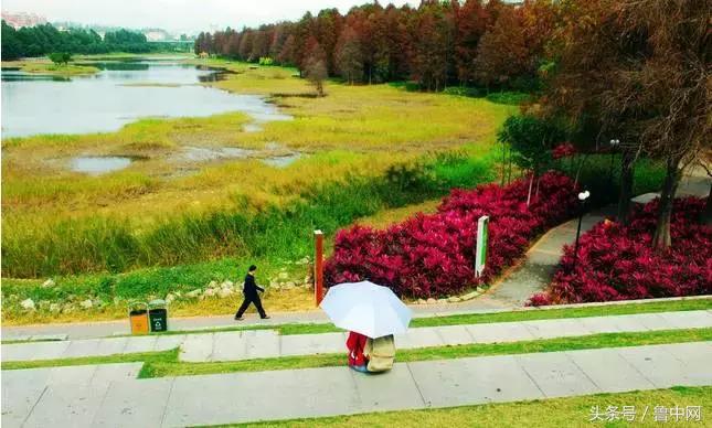 为什么定居淄博,为什么要定居