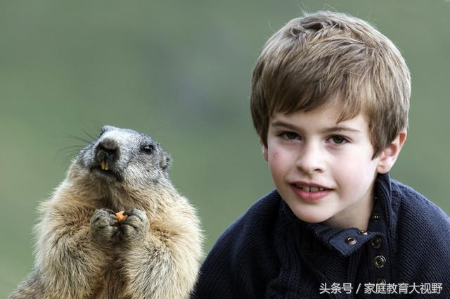 孩子情绪表达夸张,孩子的情绪如何描述