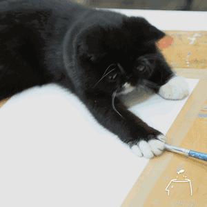 为什么看到潘玮柏送的项链，吴昕哭了？