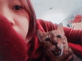 嫂子是什么意思网络语,嫂子是什么意思