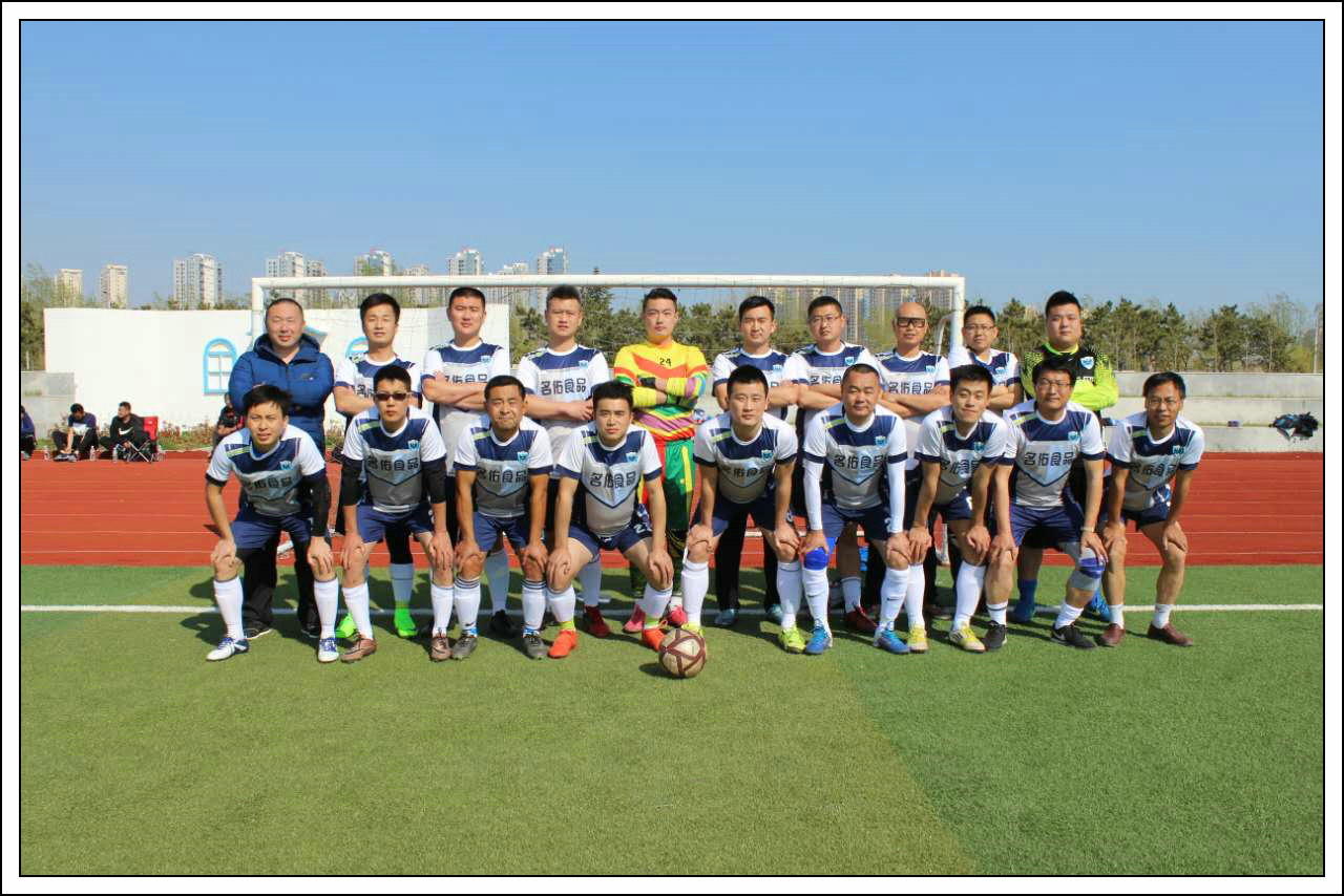 绿茵上追梦,绿茵场上的追梦人