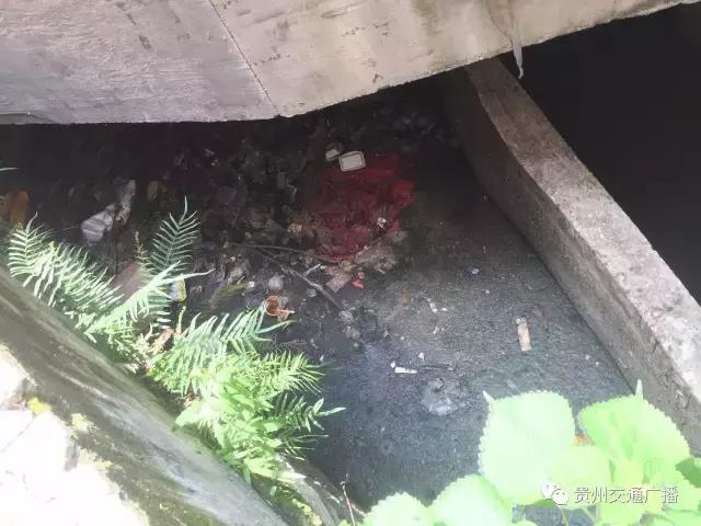 市民举报污水满出来啦！12345市长热线来解决