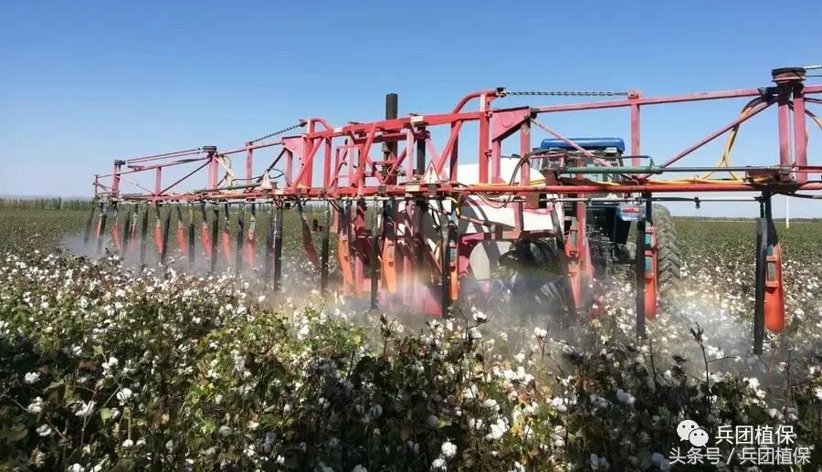 棉花后期乙烯利催熟剂,乙烯利在棉花上催熟的使用方法