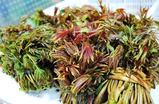 千万别离开龙口，因为有些味道无法代替