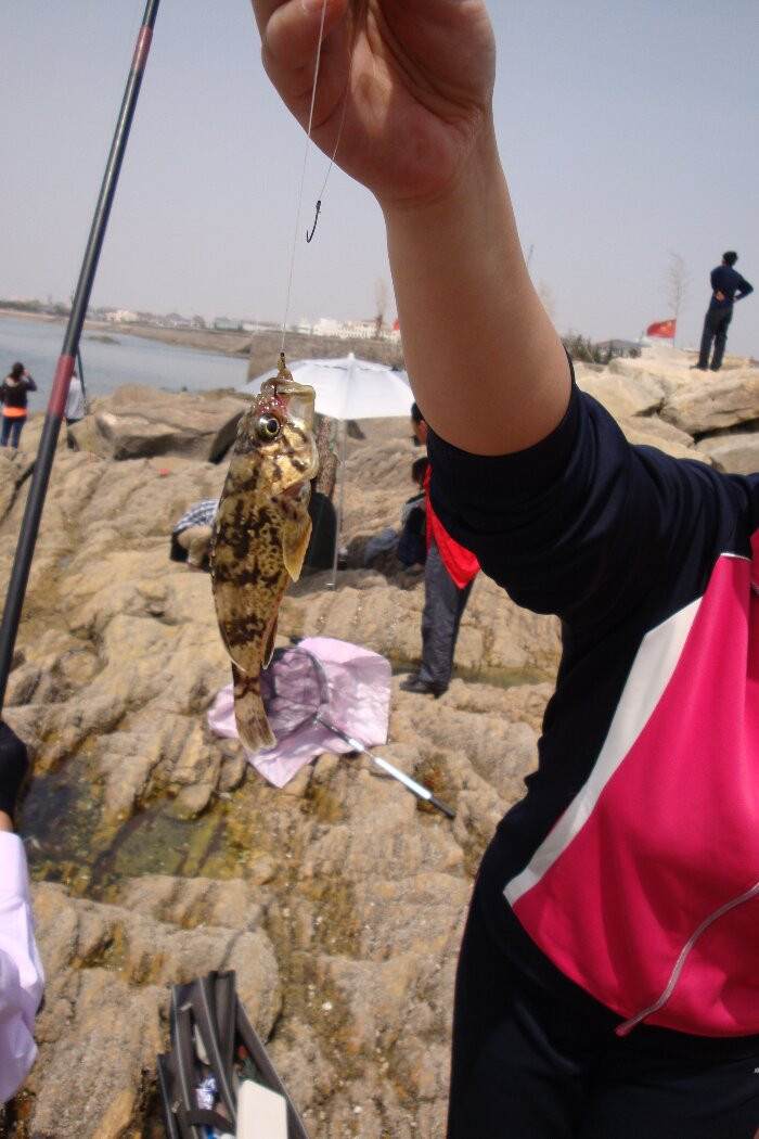 日照海捕海鲜有哪些,日照赶海后抓到的海鲜去哪儿吃