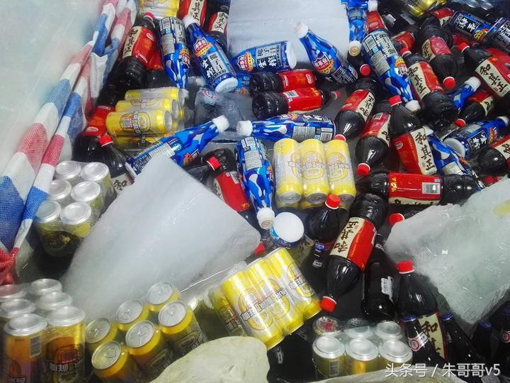 横县校椅镇马毕村茉莉庄园,广西横县茉莉庄园