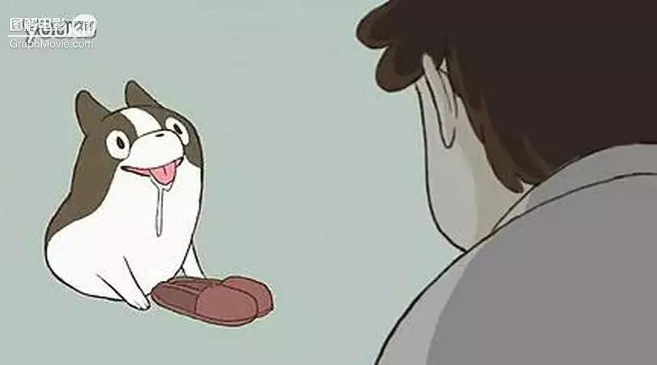 1分钟看完煎蛋饼养只狗狗来做饭狗版の田螺姑娘