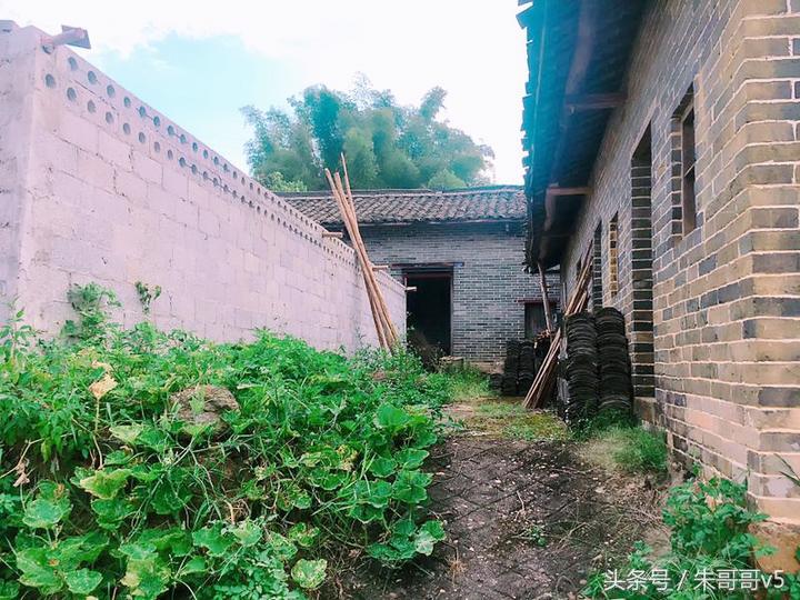 横县校椅镇马毕村茉莉庄园,广西横县茉莉庄园