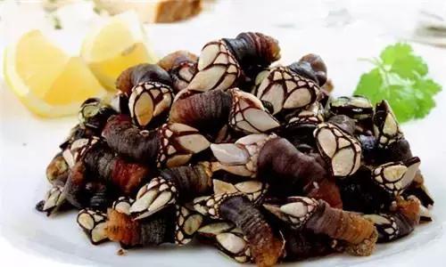 全球公认最好吃的五种贝类,比较特别的贝类有哪些