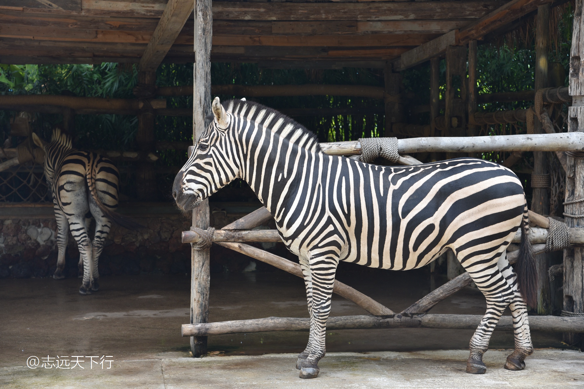 最美的女童海南,最美的小女生去游乐场玩