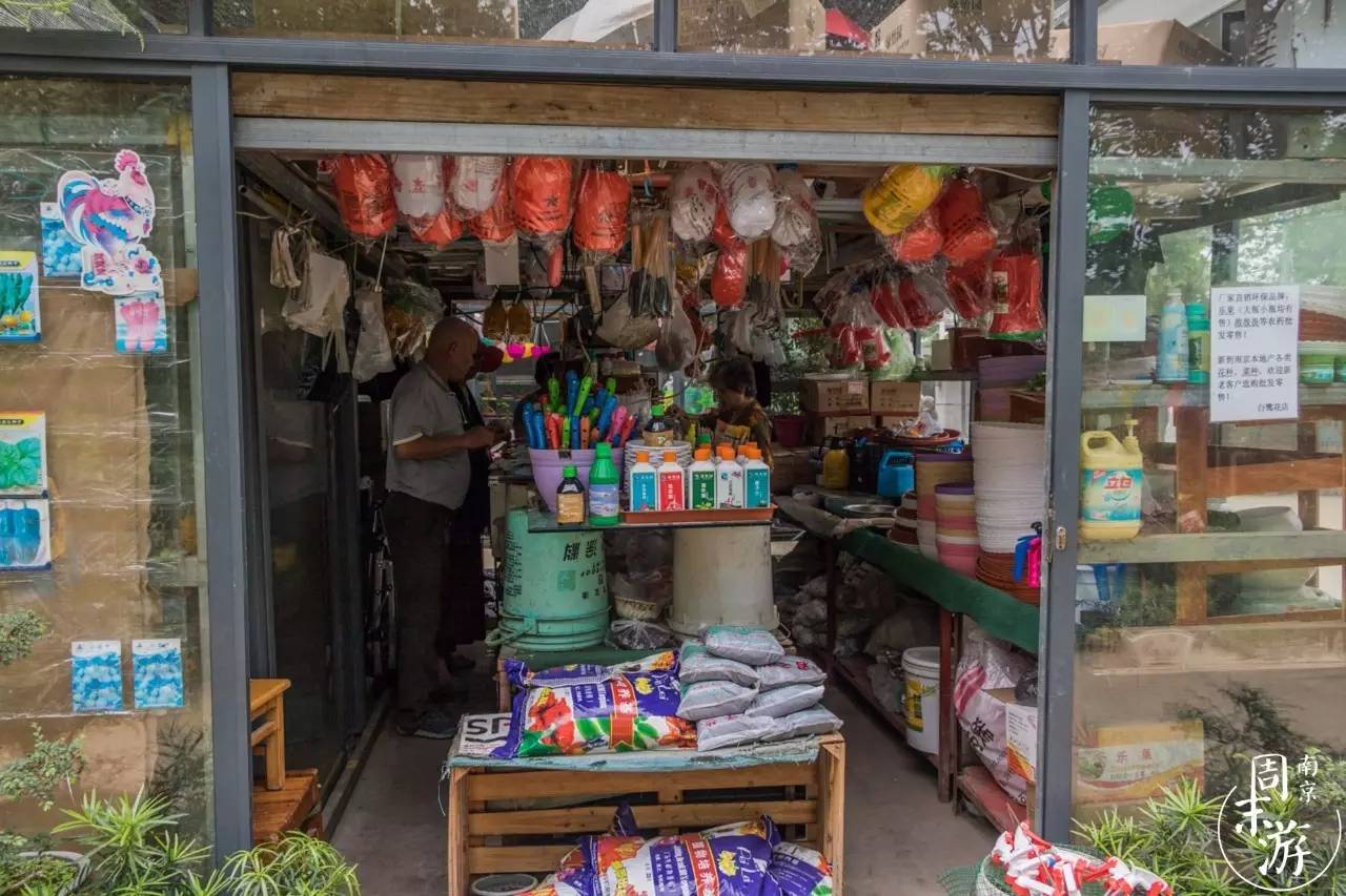 逛各种花鸟市场,南京花鸟鱼虫市场失火