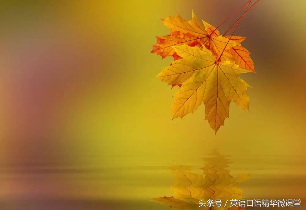 描写秋天美丽的句子英文,有关秋天的英文表达方式