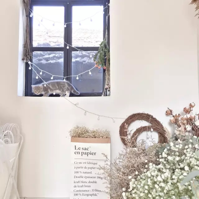 花艺店推荐,花艺店今日推荐