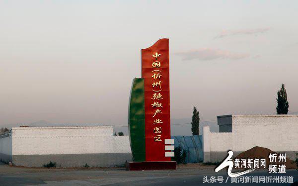 2021忻州辣椒基地,忻州辣椒产业园在哪