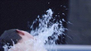 动画长颈鹿高台跳水,今日趣图最新视频