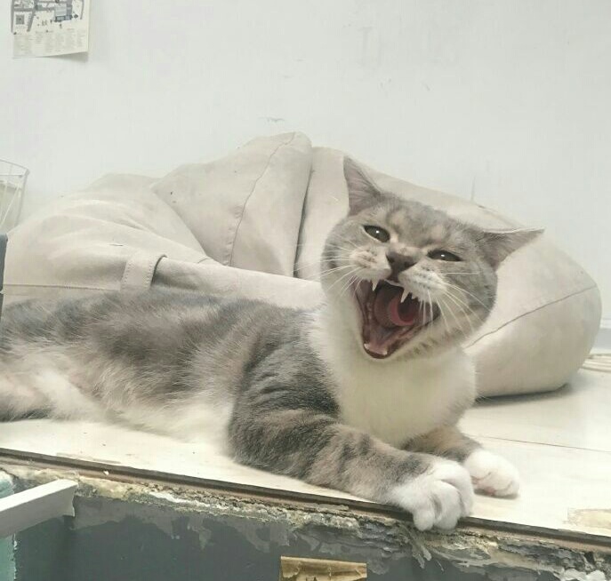 花艺店推荐,花艺店今日推荐