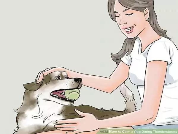 狗狗特别怕打雷怎么办,狗狗害怕打雷闪电怎么办