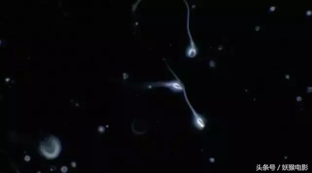 最震撼的纪录片bbc人体的奥秘,人体科普纪录片top10