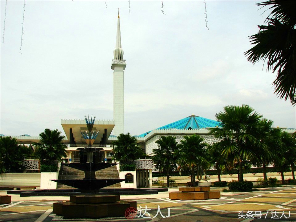 达人J:新马声色任逍遥