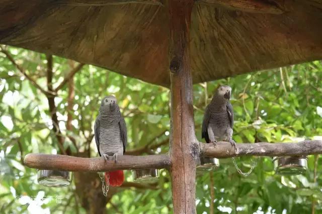 最美的女童海南,最美的小女生去游乐场玩