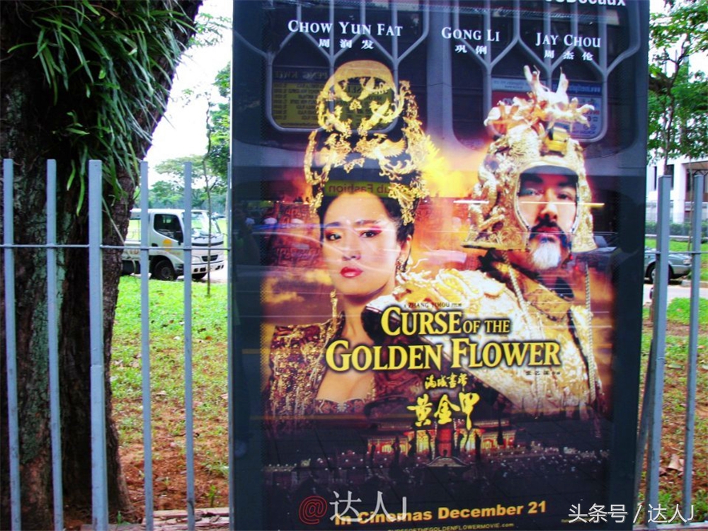 达人J:新马声色任逍遥