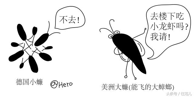 家里有蟑螂教你一招让蟑螂去无踪,蟑螂最怕这3招