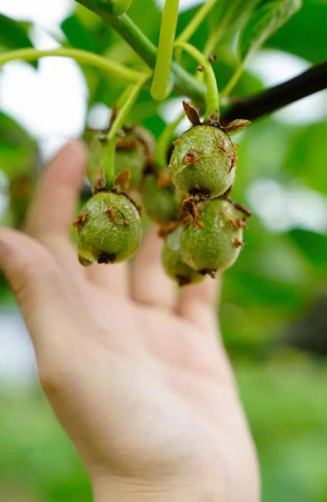 因为一句话恋上一座城,因为一个人恋上一座城